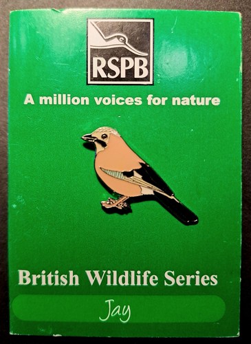 Rare rspb jay - rare, bird