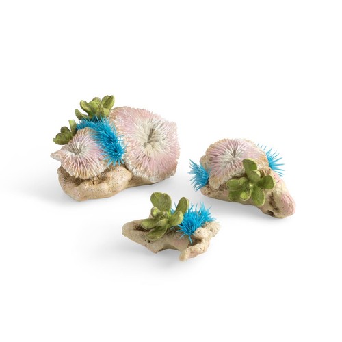 Biorb plate coral button - plate,