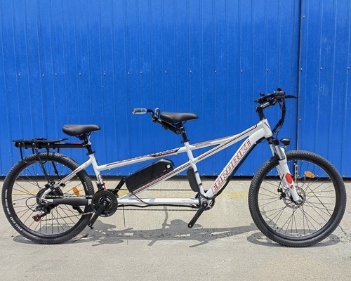 Elektrisch 500w 48v two - two, seater