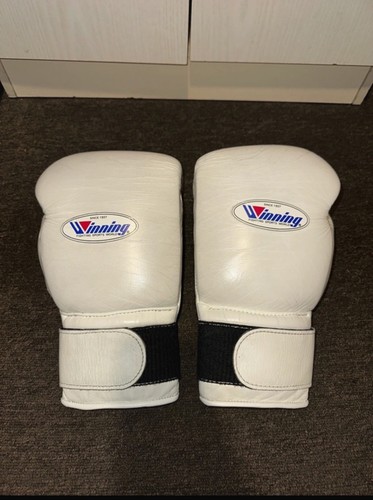 Winning boxing gloves - winning,
