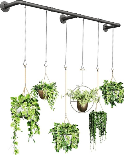2026 plant hanger - plant, indoor