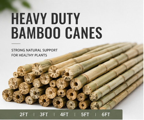 Heavy duty bamboo canes - heavy,
