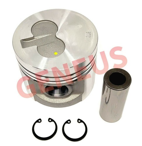 Piston with pin - lister, petter