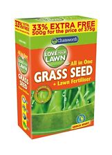 All In One Grass Seed + Lawn