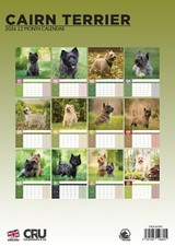 Cairn Terrier Dog 2026 A3