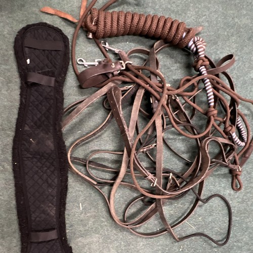Job lot horse training - of,