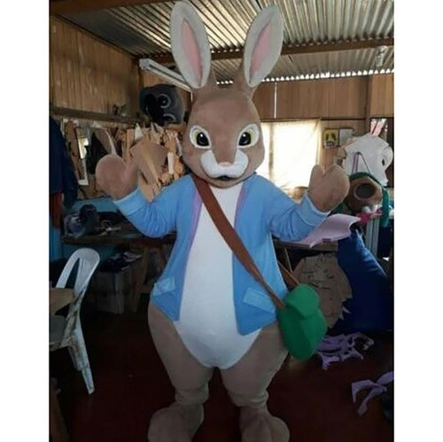 Peter rabbit easter - peter, bunny