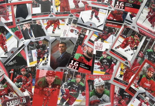 Card bundle cardiff devils - 10,