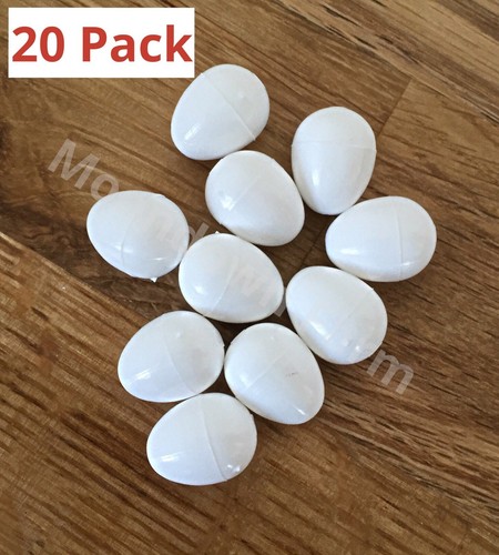 Dummy eggs for canary - eggs,
