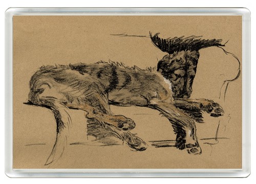 Irish wolfhound dog fridge - dog,