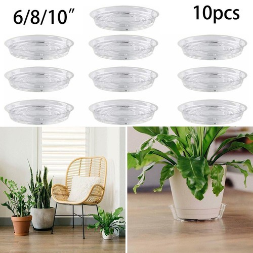 10pc garden plant - 10pc,