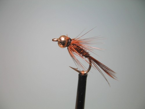 Gold head pheasant tail - x,