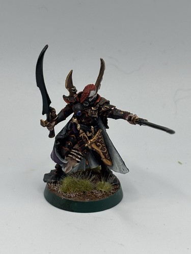 Drukhari archon converted - drukhari,