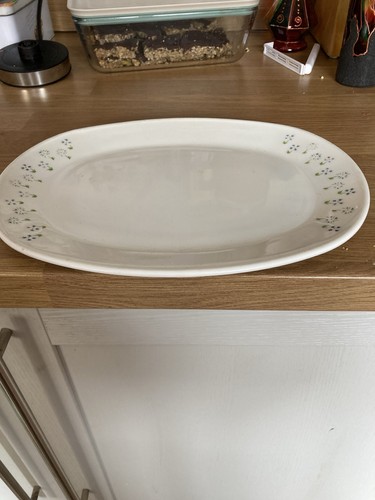 Glass pyrex steak - pyrex,