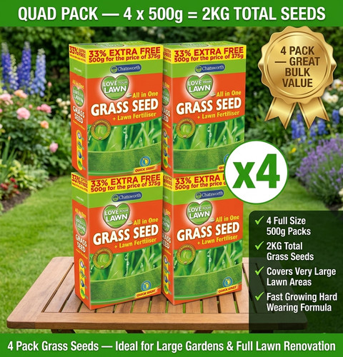 500g grass seed lawn - grass,