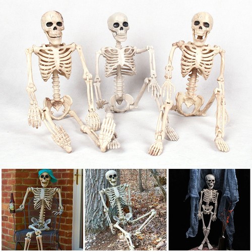 40cm anatomy photography - 1,