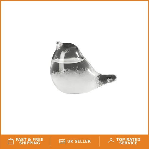 Unique glass bird - glass,