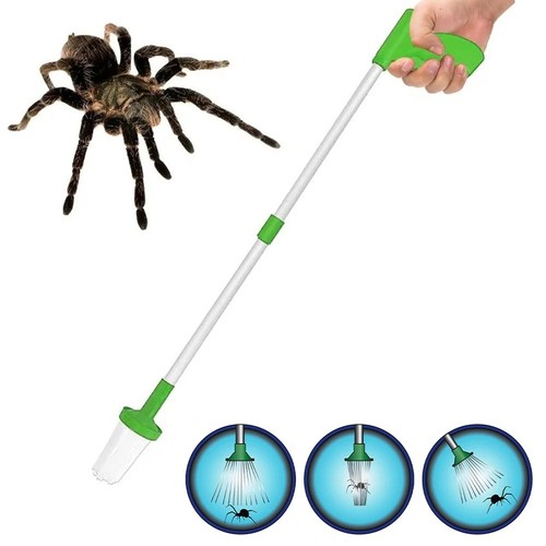 Spider catcher pest - catcher, trap