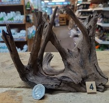 Small/Medium Corbo Root Aquarium Bogwood Vivarium Root Fish Tank Driftwood