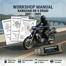 Kawasaki er500 er5 - er500, 2002