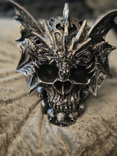 Skull dragon ornament - dragon,