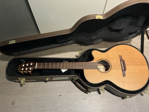 2022 takamine fcn - p3,