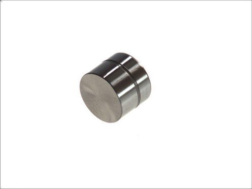 Tappet ina 420 0050 - 10, rover