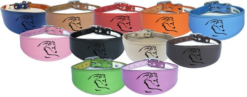 Greyhound whippet leather - greyhound,,