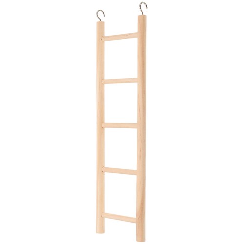 Parrot climbing ladder bird - climbing,