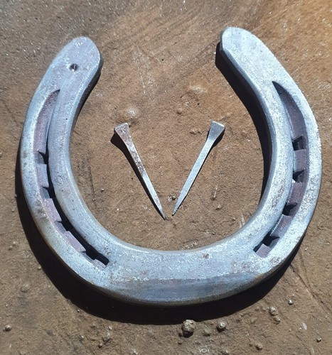 New real horseshoe - real, horseshoe+