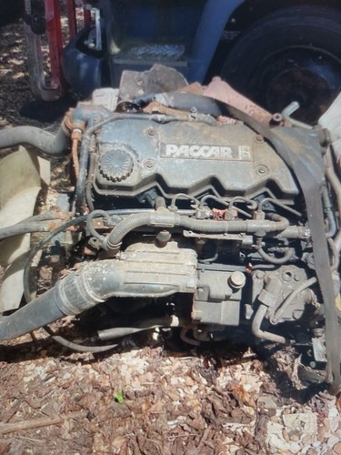 Daf cylinder peccar - lf,
