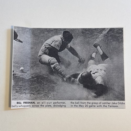 Bill freehan jake gibbs tigers - freehan,