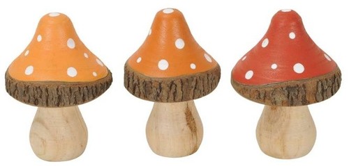 Set wooden mushrooms - of,