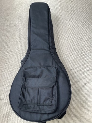 Octave mandolin gig - octave, case