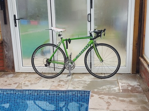 Kona jake the snake - kona, racer
