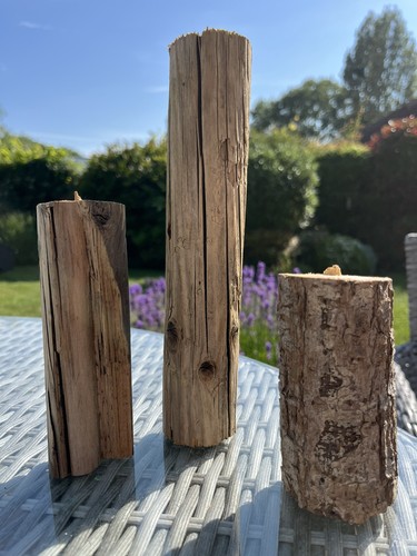 Weathered driftwood log - 3,