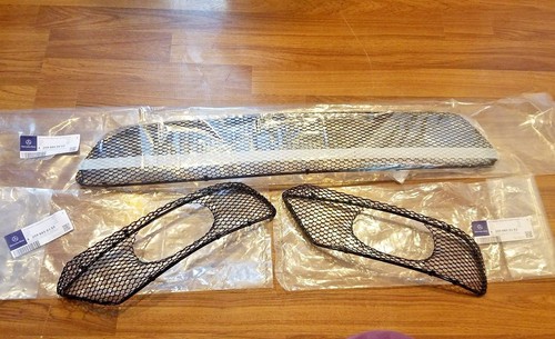 Front bumper lower amg mesh - bumper,
