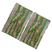 Reptile Tank Background