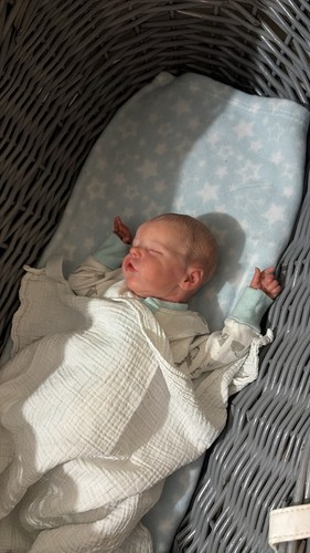 Reborn twin bonnie brown - b,