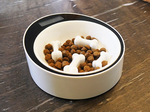 Smart sow feeder - feeder, bowl