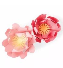 Sizzix Bigz Die 663860 Summer