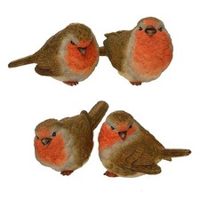 Sweet Mini Baby Robin