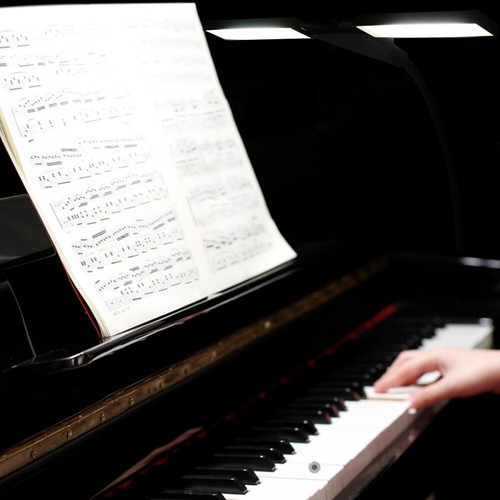 Rotatable piano lamps - rotatable,