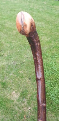 Blackthorn walking stick - walking,