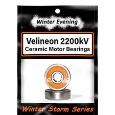 Ceramic | Brushless Motor