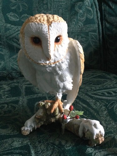 Beautiful barn owl branch - beautiful, on