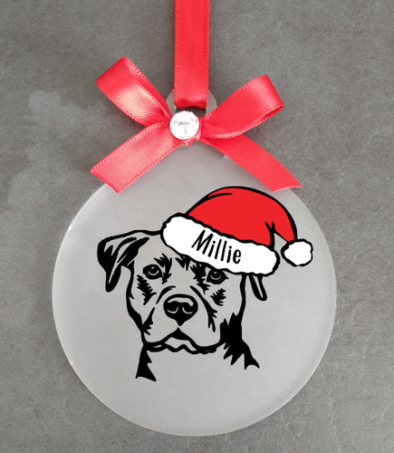 Staffordshire bull terrier - bull,