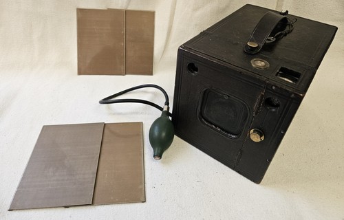 Abs rare large - rare,