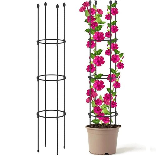 New 60cm tomato - tomato, support