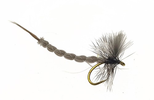 Cdc mayfly flies - 3,